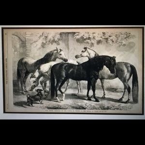 Meet your Posher, Wisteria